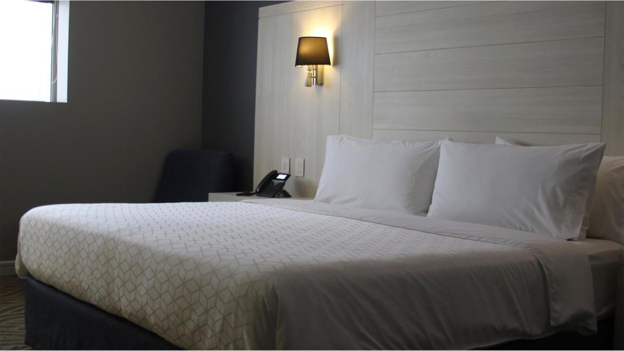 Holiday Inn Express Pachuca By Ihg Екстер'єр фото