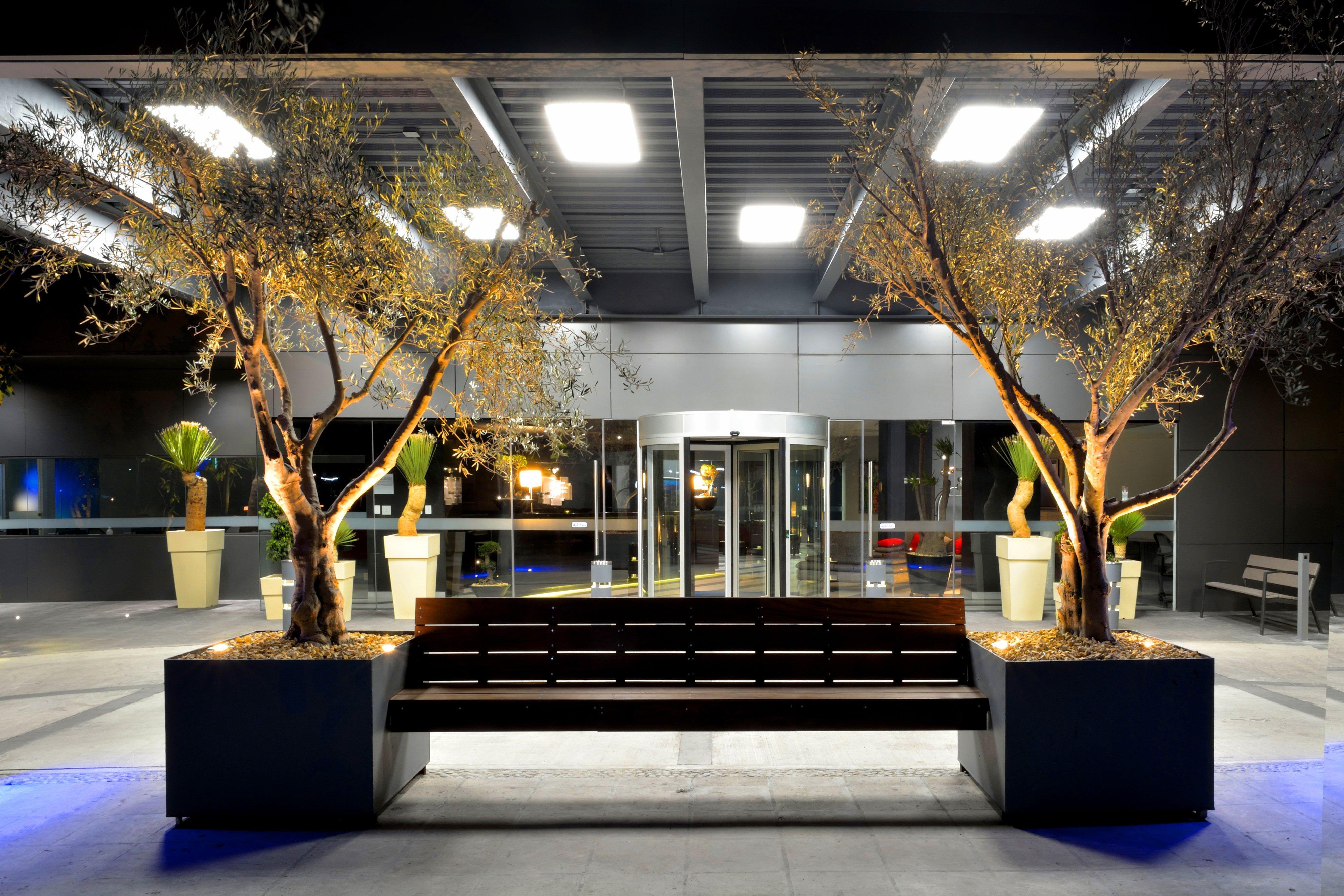 Holiday Inn Express Pachuca By Ihg Екстер'єр фото